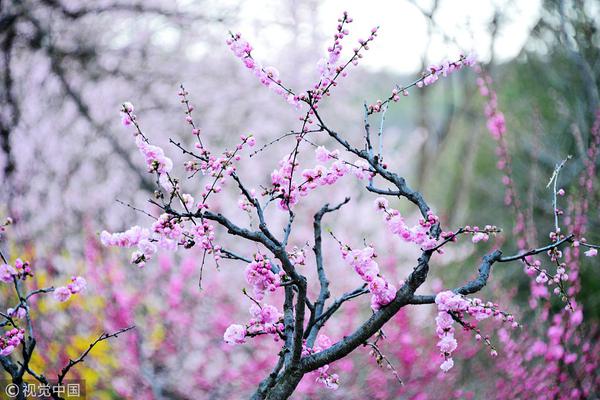 滬上最“靈”！雅詩(shī)蘭黛贊助熱播劇《繁花》