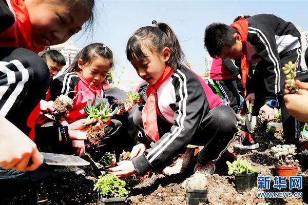 速八體育在線(xiàn)直播中國體育新聞網(wǎng)體育新聞最近