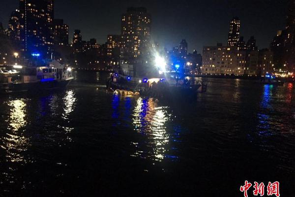 河北新河：蓮藕收獲忙