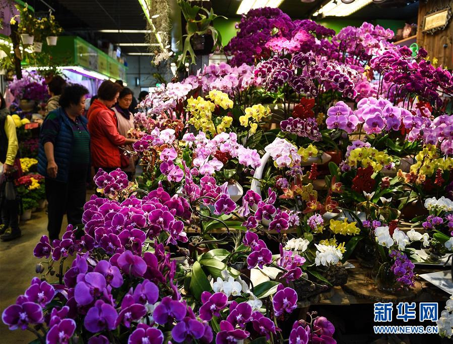 小因：國米離奪冠是早晚的事；再談歐冠被打??？我毫無(wú)怨言